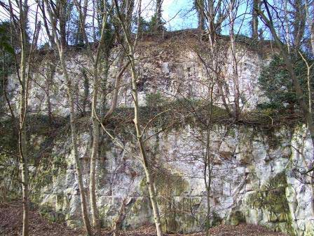 Geological Map Of Yorkshire. On sheet 80 of the geology map